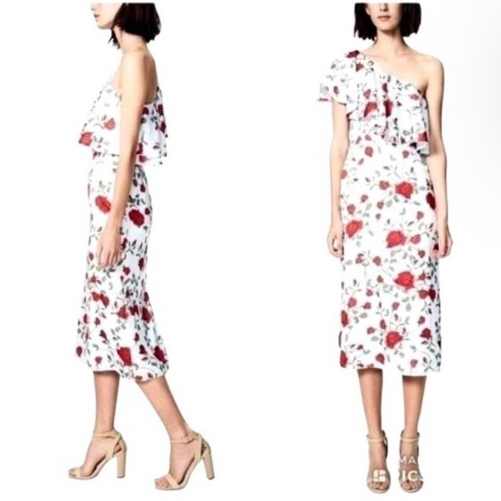 Fame & Partners Aubrieta Dress Briar Rose One Shoulder Ruffle Midi Romantic